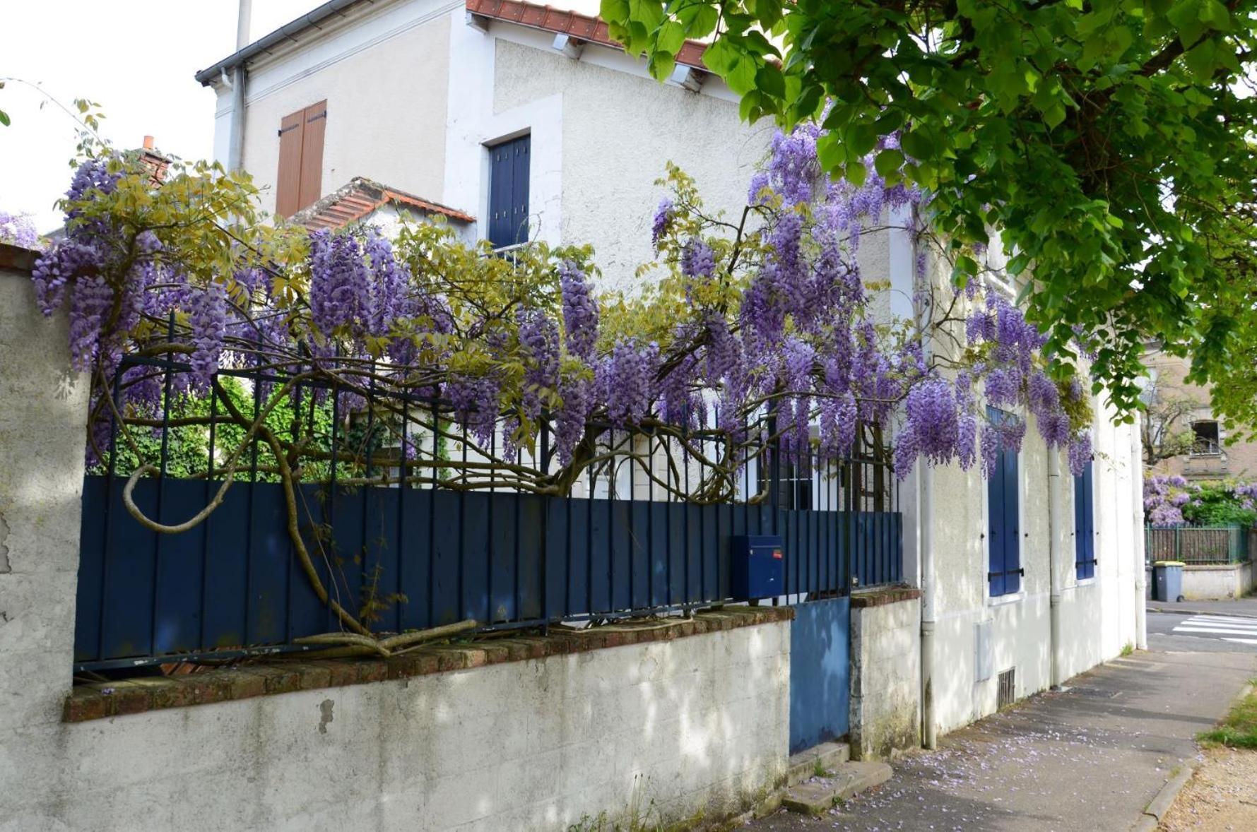 Bleautiful "Eugenie" Charmante Maison De Ville Fontainebleau Buitenkant foto